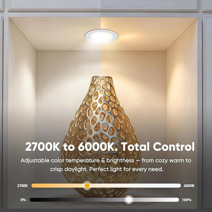 VST 6 Pack Plug-in LED Under Cabinet Puck Lights, Wired Touch Dimmer Switch & RF Remote,CCT 2700K-6000K Adjustable ，Recessed & Surface Mount, 12V/2W UL Listed for Wardrobe Display(Silver, 6 Pack)