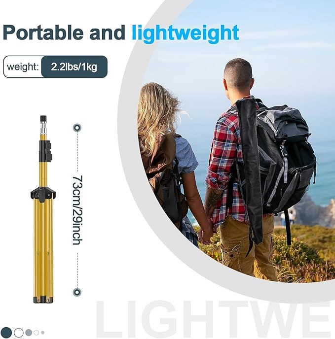 EMART 7 Ft Light Stand for Photography, Portable Photo Video Tripod Stand, 2 Pack Lighting Stand with Carry Case for Speedlight, Flash, Softbox,Strobe Light, Camera, Photographic Portrait -Gold
