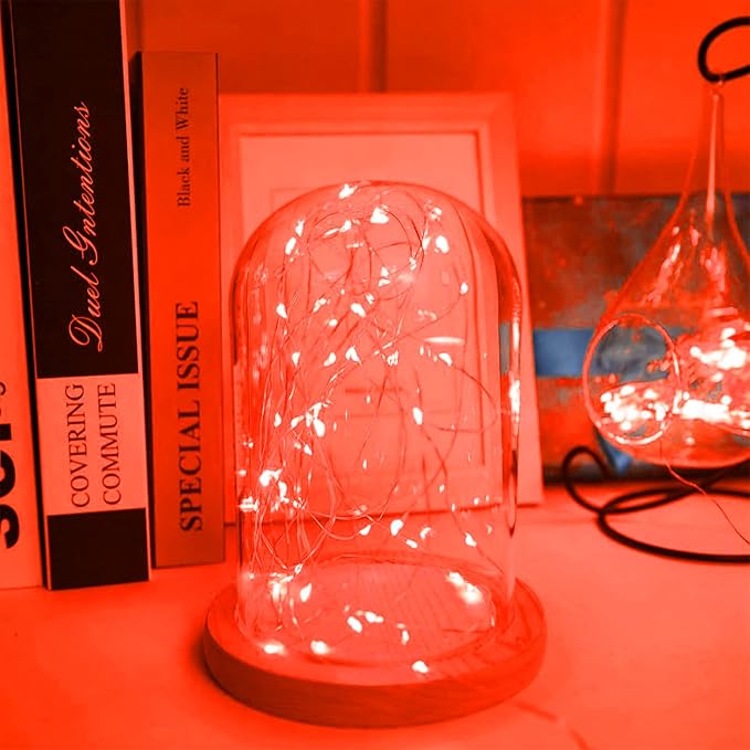 16 Pack 30 Led Fairy Lights Battery Operated String 10 Feet Waterproof Twinkle Mason Jar Silver Wire Firefly for Christmas Red