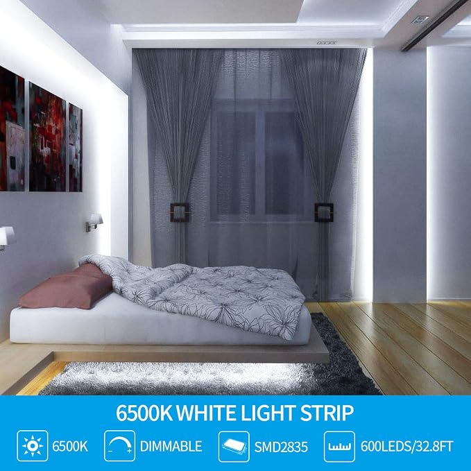 Led Strip Lights 32.8ft White Dimmable Led Light Strip Flexible Rope Lights Kits with 12v Etl Power Supply, Adhesive Clips, Dimmer Switch and Connectors for Indoor Decor