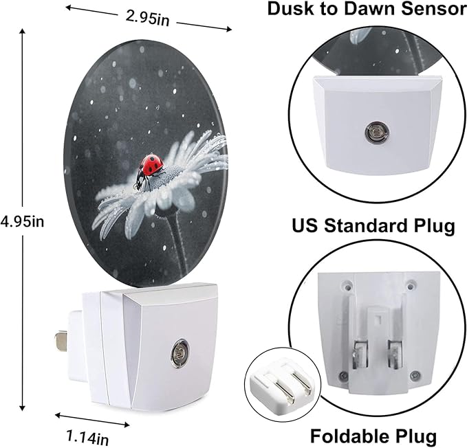 Night Light Ladybug on White Daisy Flowers Dusk to Dawn Plug-in Nightlight Auto Sensor for Bedroom Bathroom Hallway Living Room