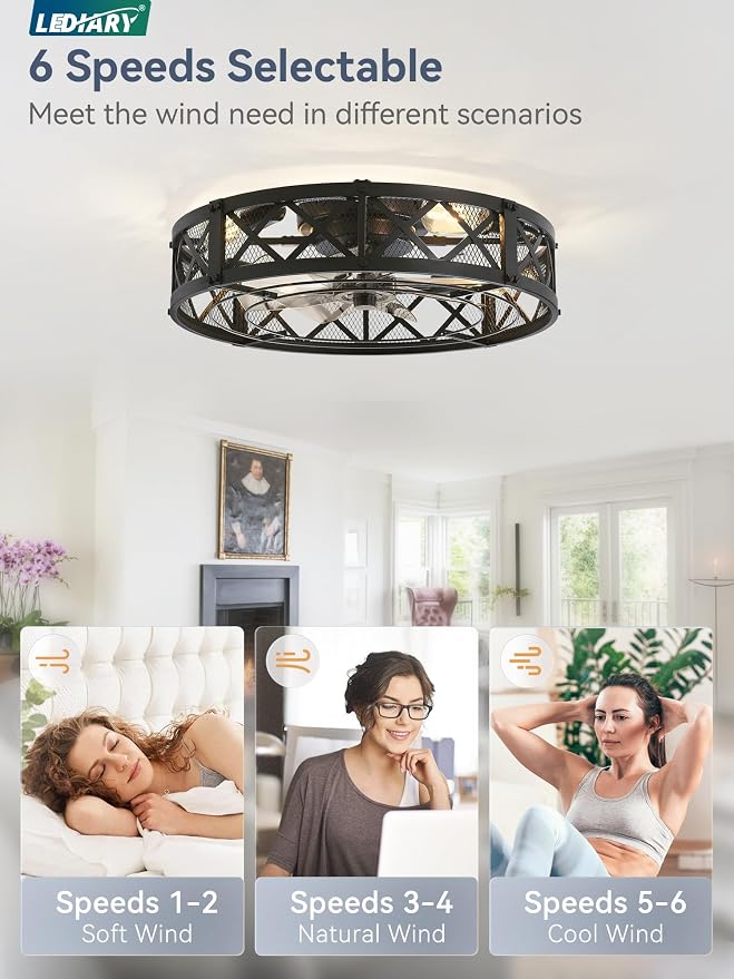 LEDIARY 23" Caged Farmhouse Ceiling Fan with Light, Flush Mount, Black | Remote&APP Control, Large Low Profile, Rustic Fandaliers, Industrial Bladeless Enclosed, Powerful Motor for Bedroom, Kitchen
