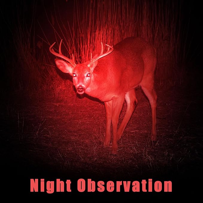 Honoson 16 Pieces Red Light Flashlight LED Single Mode Torch 1 Mode Scalable Red Lens Filter Flashlight for Night Astronomy Aviation Observation Beach Turtle Safe