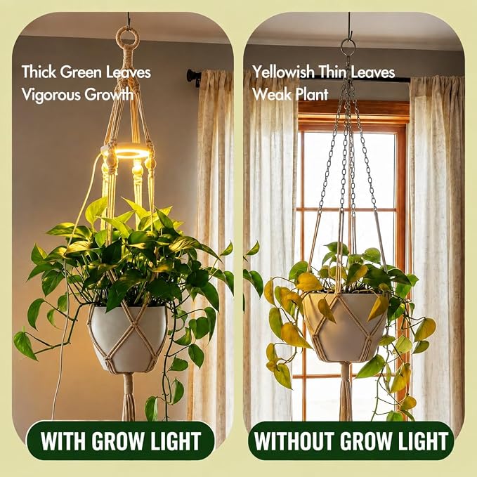 Hanging Plant Grow Lights for Indoor Plants with Timer | Wall Mounted Full Spectrum Pendant Growing Light with Macrame Plant Hanger, Ceiling LED Planta Luz for Potted Plants