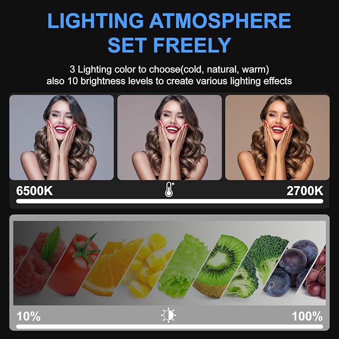 2 Packs Video Light Kit, LED Studio Light, 2700-6500K Dimmable Photography Lighting Kit with Tripod Stand&Phone Holder, 12" Rotating Streaming Light for Video Recording, Game Streaming, YouTube