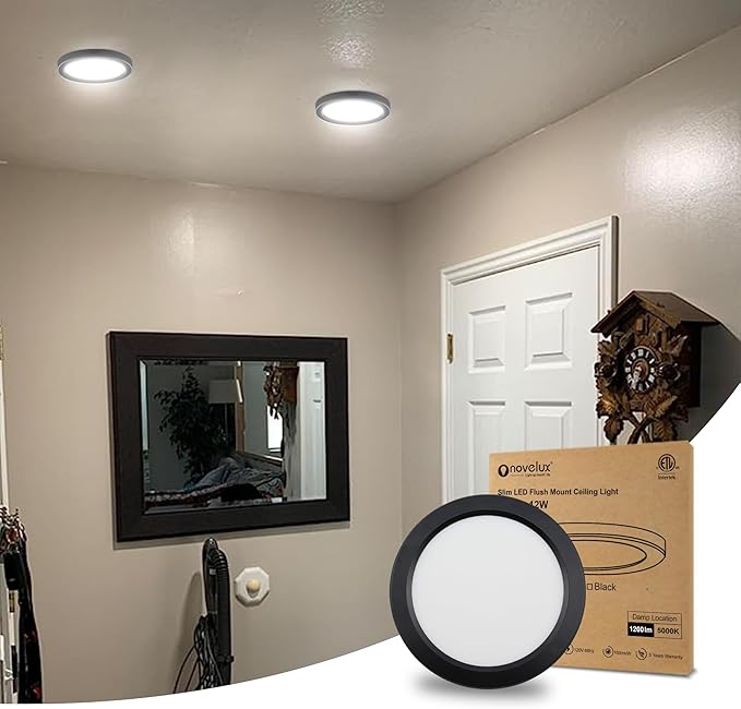 ETL 7 inch Small LED Flush Mount Ceiling Light Dimmable,5000K Daylight Ultra Slim Round Flat Panel Ceiling Light Fixture,Modern Ceiling Lamp for Closet,Kitchen,Bathroom 7inch-1 Pack(Black)
