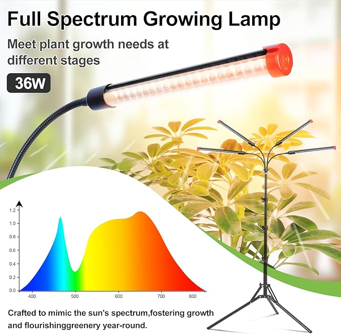 4Head Grow Light with Stand for Tall Indoor Plants, Bonsai Tree, Bright Full Spectrum Plant Growing Lamps, 4/8/12/16/20H Timer, 36 Watt Power Draw, NO Need Adapter, 360° Gooseneck