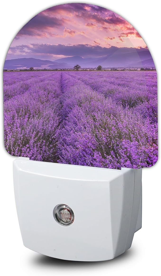 Night Light,Lavender Field Sunset Night Lights Plug Into Wall Bedroom Bathroom Kitchen Hallway Stairs Hallway, Energy Efficient Decor Desk Lamp Gifts