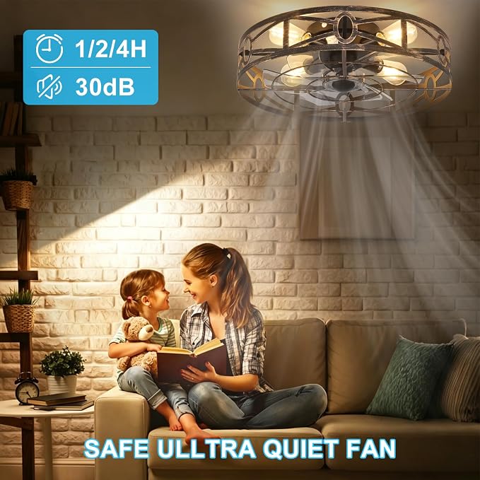 Depuley Flush Mount Ceiling Fan: 20" Caged Ceiling Fans with Remote Control for Patio Kitchen Bedroom - Low Profile Fandelier Lights Fixture Reversible 6 Speed Timer Brone 4*E26 Bulb Not Included