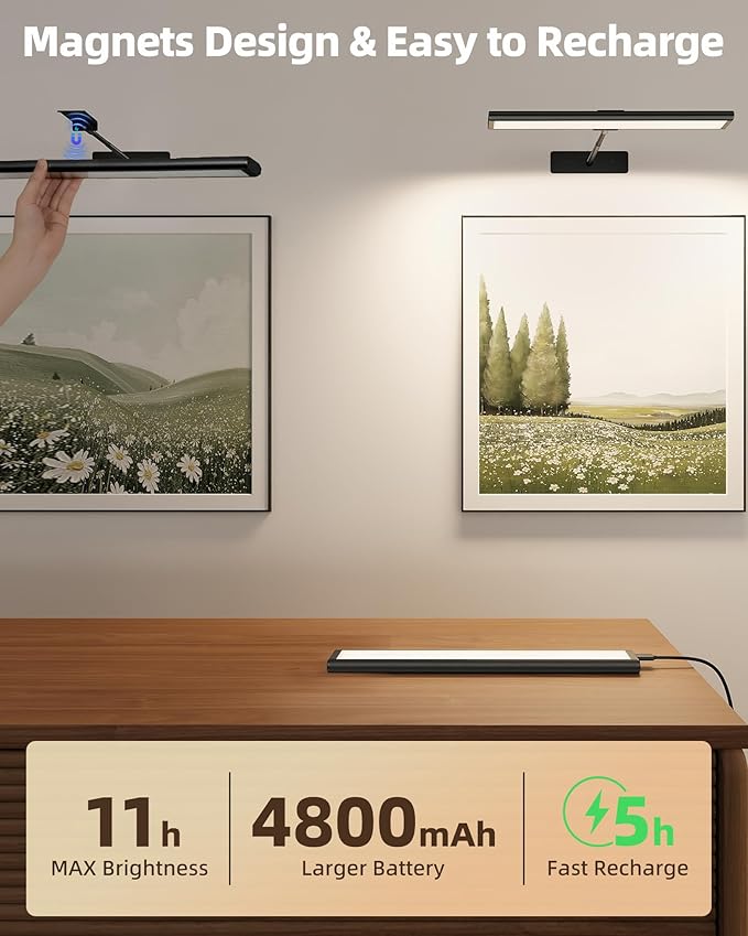 EZVALO Picture Light for Wall, 4800mAh 16'' Rechargeable Wireless with IR Remote Battery Lights for Painting, Dimmable Magnetic LED Art Display Light, Colors Temperatures, for Gallery, Living Room