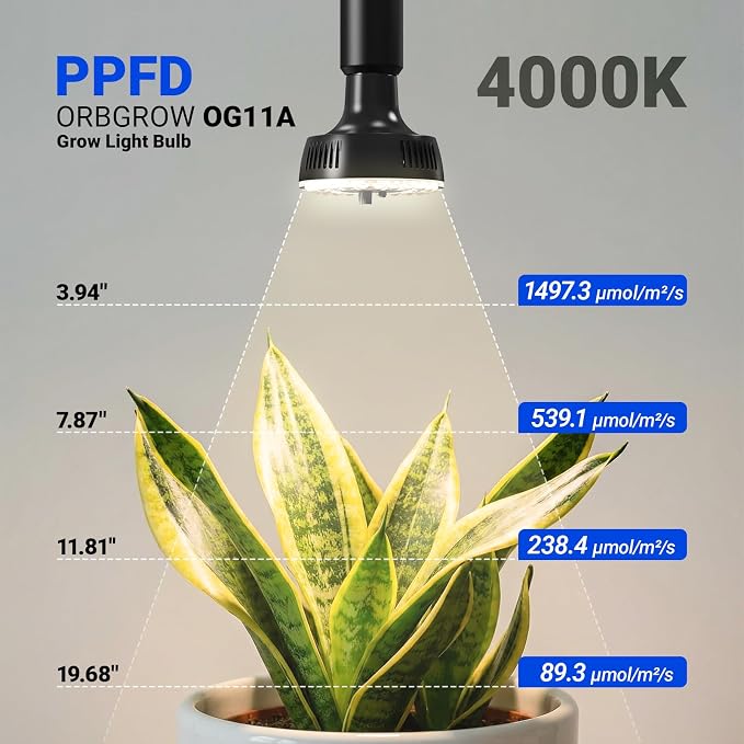 Barrina OG11A Grow Light Bulbs for Indoor Plant, 4000K 11W, 2 Packs, Black | Integrated Dimming & Timing, E26 Plant Light Bulb, Full Spectrum, High PPFD for Seeds and Greens