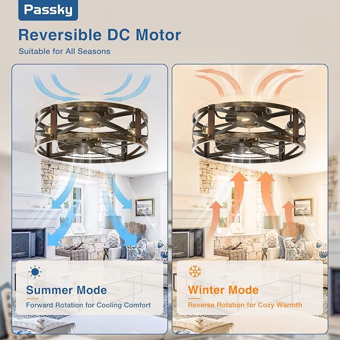 Passky 20" Caged Ceiling Fans with Lights and Remote, Low Profile Fandelier | Reversible DC Motor, 1/2/4H Timer, 6 Speeds, Farmhouse Style, Quiet Operation, for Bedroom, Kitchen, Dining Room, Living Room