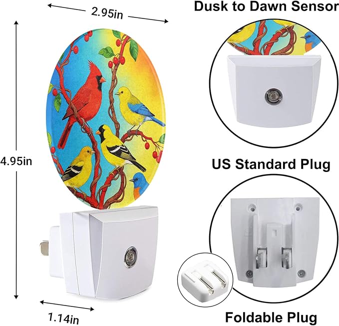 Lovely Bird Lamp Parrot Night Light Parrot with Colourful Feather Night Lights Plug into Wall for Boys Girls, Plug-in Nightlight 0.5W LED Lighting for Stairway Hallway Bedroom
