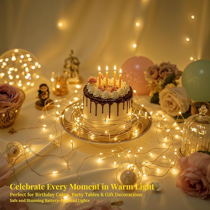 12 Pack LED Fairy Lights, 7ft 20 LED Battery Operated Silver Wire String Lights, Warm White Mini Starry Lights for DIY Crafts, Wedding, Party, Bedroom, Christmas Decorf. (12 Pack – Warm White)