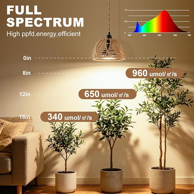 Hanging Grow Light, 30W LED Lamp with Timer for Indoor Plants | 4000K LED plant lamp with 15 ft cord, outlet timer, and boho paper rope shade for succulents, herbs, and low-light rooms.