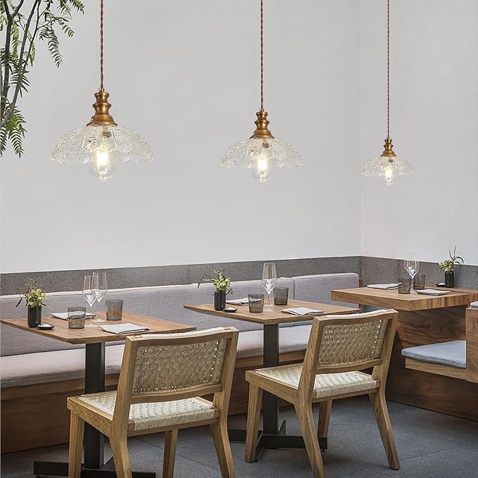 Plug in Pendant Light Industrial Pendant Lighting with Plug in Cord 9.8ft Hanging Lamps Clear Glass Shade ‎Bronze Light Fixture for Living Room Kitchen Dining Room Bedroom