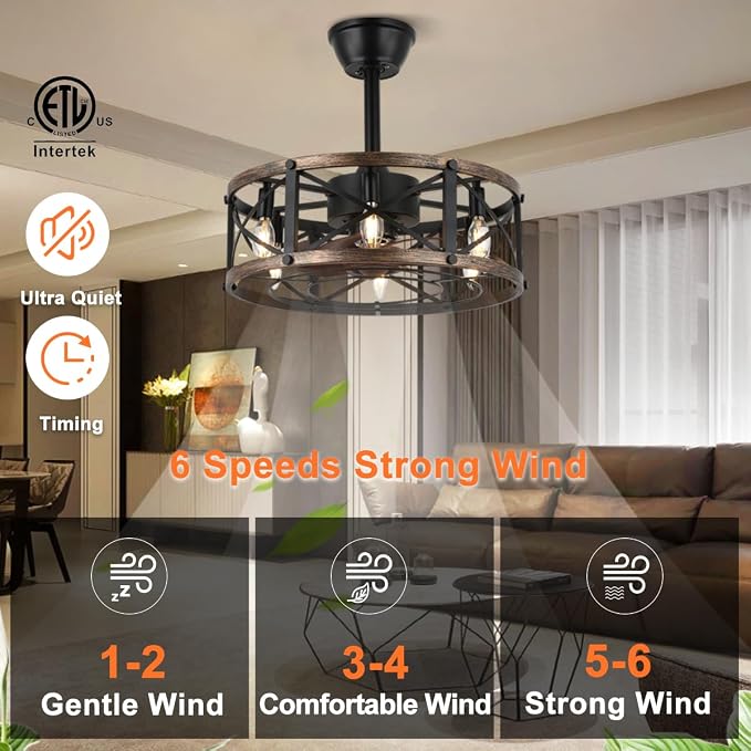 SHLUCE 19 Inch Farmhouse Fandelier with Light, ETL Listed | Remote Controlled, Bladeless Fandelier Design, Quiet Operation, Energy Efficient, Ideal for Bedroom & Kitchen Indoor Use