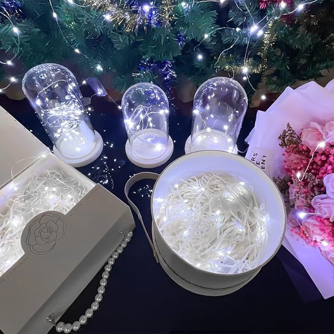 Etinga 10 Pack Fairy Lights Battery Operated String Lights, 10 LED on 3.3ft Silvery Copper Wire，for Flowers Gift Box Wedding Party Christmas Decoration (10 Pack, Cool White)