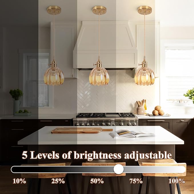 Battery Operated Pendant Light,Mini Hanging Lights RGB Rechargeable Light Bulb 2500mAh 5.1Inch with Remote Control Wireless Adjustable Rechargeable Chandelier for Kitchen Island Hallway