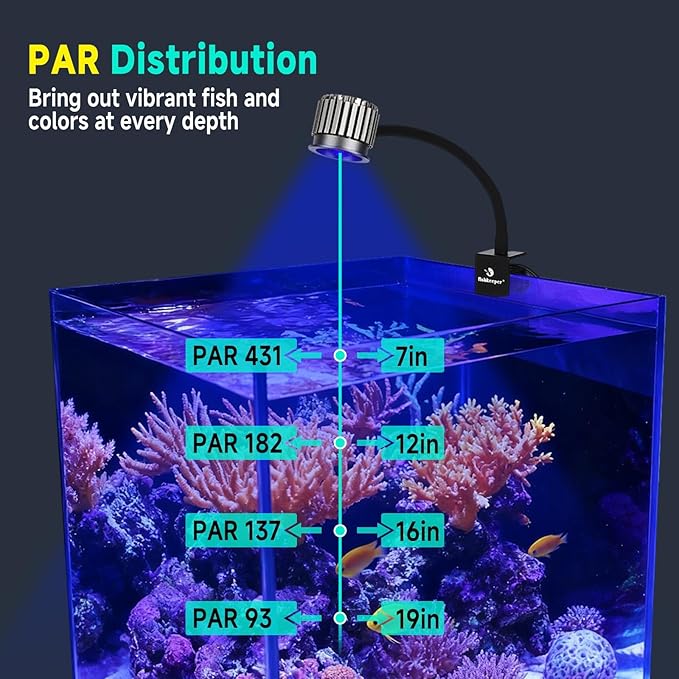 fishkeeper Clip On 24/7 Saltwater Aquarium LED Light, 8W Reef Lights for Coral DIY Color/Brightness Fish Tank Light with Timer for Coral Marine Tank Memory Function