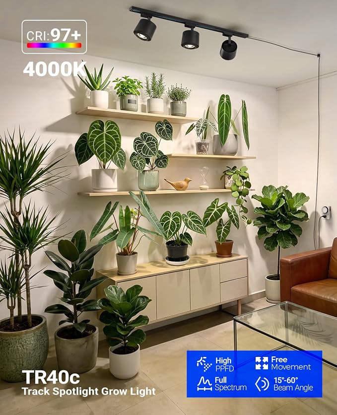 Barrina TR40C Track Grow Lamp, 3 x 40W, 4000K, Adjustable Beam Angle, Black | 15°-60° Beam Focus, H-Type Plant Light Bulbs for House Plants, Ceiling Mount Full Spectrum Grow Lamp with Timer, High PPFD