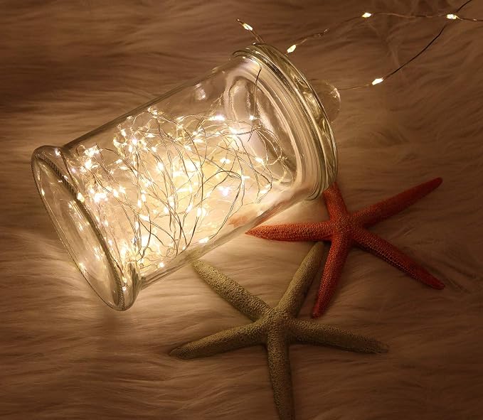 WSgift 2 Pack 20 Feet 60 Warm White Led Battery Operated Fairy Lights with Remote Control Timer Waterproof Silver Copper Wire Twinkle String Lights for Party Bedroom Wedding Christmas Decorations