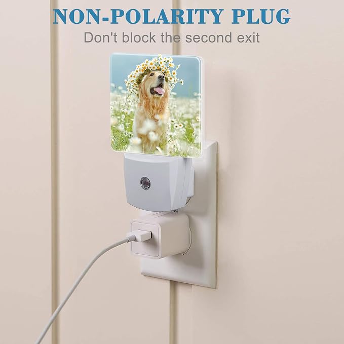 Plug in Night Lights Golden Retriever with Daisy Wreath Night Light with Dusk to Dawn Sensor Night Light for Kid Girls Boys Women Men Room Decor, Hallway, Kitchen, Bathroom, Nursery, Stairs