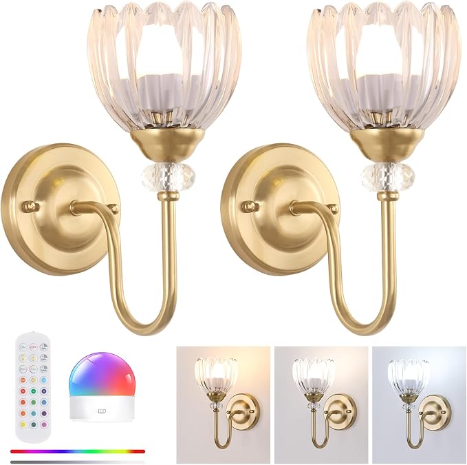 Set of 2 Vintage Battery Operated Wall Sconce, Rechargeable Wall Lamp with 5000mAh Battery & Remote Control, Dimmable Wall Lights with tulip shade for Bedroom Living Room(Tulip Transparent Up)