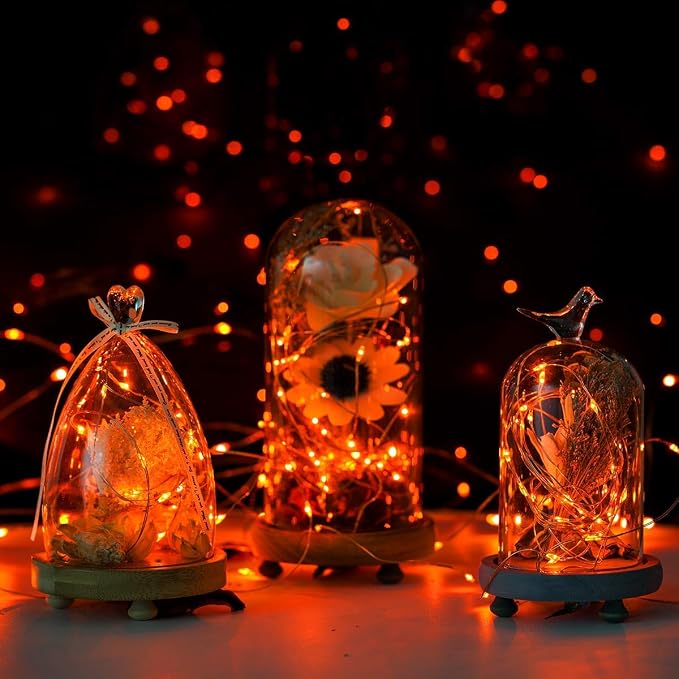 ANJAYLIA Orange Halloween Fairy String Lights Battery Operated, 10Ft 30 LED | Silver wire, Battery Powered String Lights for Halloween, Thanksgiving, Fall, Christmas Party Decoration