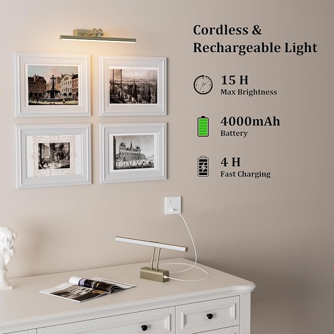Picture Light for Wall, Antique Brass, 13.8", Remote Control | 4000mAh Cordless,Wall Light, Magnetic for Easy to Charge,Timers, Display for Gallery Living Room Bedroom