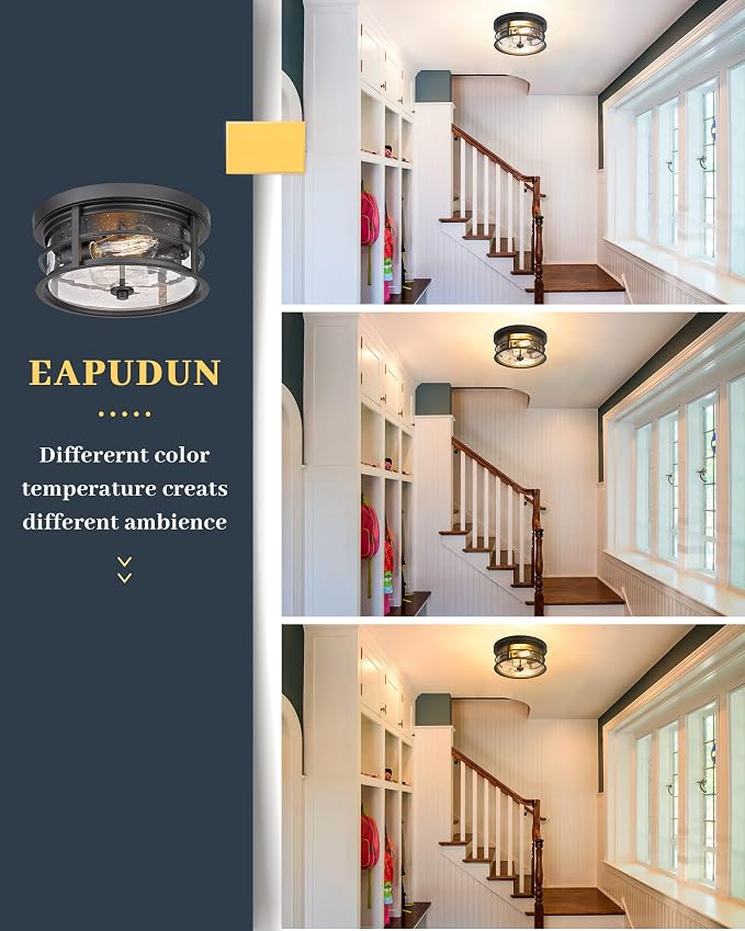 EAPUDUN Flush Mount Ceiling Light, 12inch 2-Light Metal Close to Ceiling Light Fixture, Matte Black Finish with Seed Glass Shade for Hallway Entryway Bedroom Porch