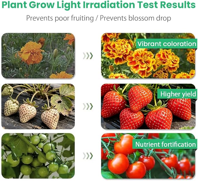 Grow Lights for Indoor Plants 2 Heads Full Spectrum plant light growing | Flexible Gooseneck Clip On,40 LEDs,3/9/12H Timer,3 Modes,10 Brightness Levels,Seed Starting,Flowers & Vegetables