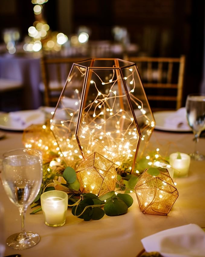 Homemory 4 Pack 20 Ft 60 LED Fairy Lights Battery Operated Christmas Lights with Remote Waterproof 8 Modes Firefly Twinkle String Lights for Party Bedroom Wedding Christmas Decorations | Battery Operated，Waterproof 8 Modes Firefly Twinkle String Lights...