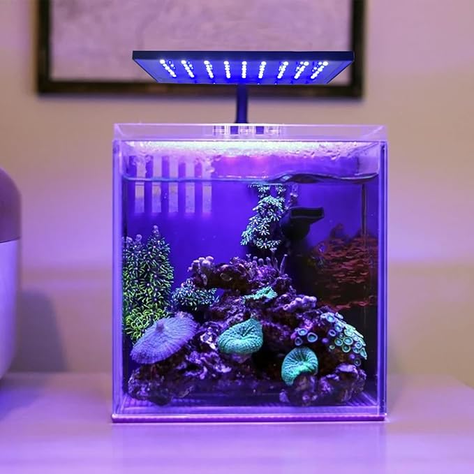 Clip-on Aquarium Light 10w (3 Timers, 3 Modes, 10 Dimming, Split Power) for Coral, Reef, Saltwater Fish, Algae Scrubber Nano/Mini/Pico/Refugium Tank,1-16Gallon(5-16in) Aquarium