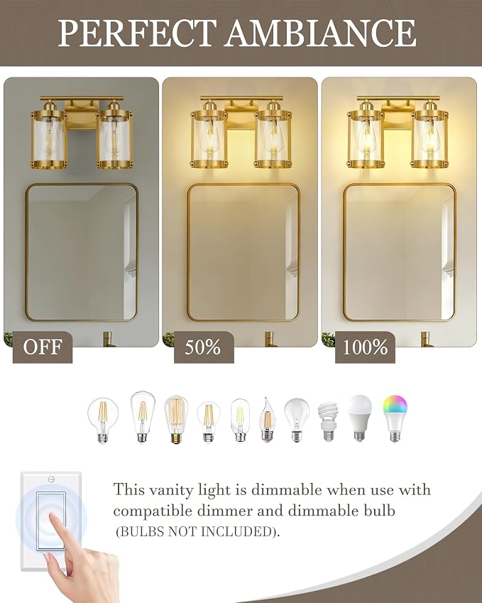2-Light Brushed Gold Bathroom Light Fixtures, 13.8 Inch Modern Bathroom Vanity Lighting Fixtures Over Mirror with Clear Glass and Metal Cage Wall Sconce Lights for Bath, E26, OS-3014BG-2W