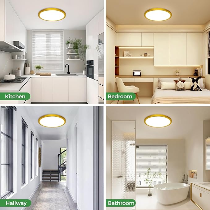 zemty 2Pack LED Flush Mount Ceiling Light, 12Inch 24W Dimmable Ceiling Lights Fixture, 5 Color Temperatures (3000K-6500K) Gold Round Ceiling Lamp for Bedroom, Kitchen, Hallway,Bathroom