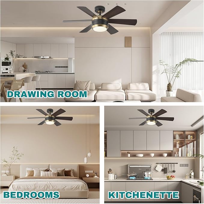 SHOWDI Ceiling Fan with Lights and Remote, 6 Blade App Control Timer Reversible Stepless Brightness and Color Temperature Outdoor Wood Ceiling Fan with Lights (Black-Gold, 42 Inch)