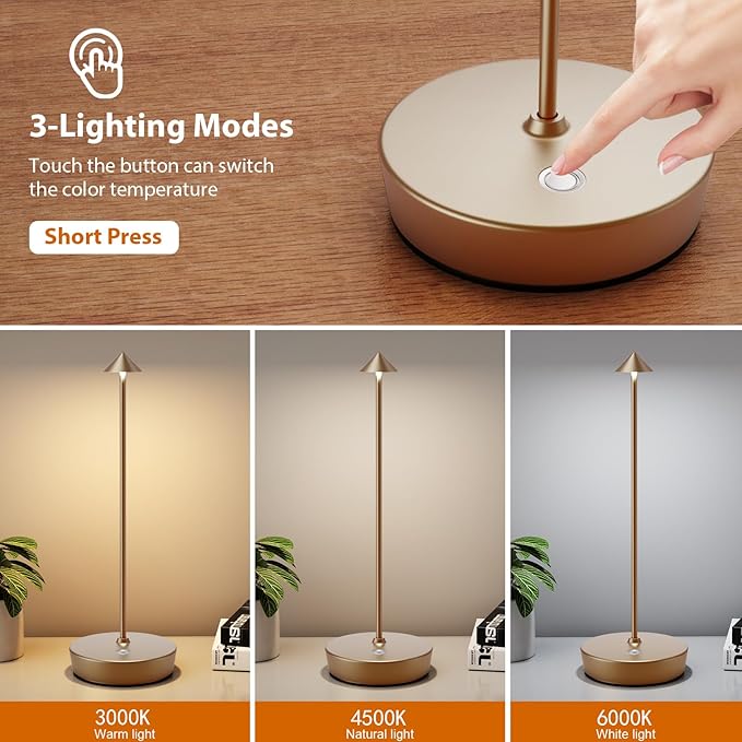 Rechargeable Cordless Table Lamp, Portable Powered LED Battery 6000mAh Metal USB Desk Lamp, 3 Levels Brightness Light for Restaurants Outdoor (Titanium)