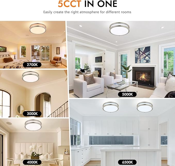 10Inch 30W LED Flush Mount Ceiling Light Fixtures, Ultra Bright 3200LM Dimmable Ceiling Lights, 5CCT 2700K 3000K 4000K 5000K 6500K, Ceiling Lamps for Kitchen Hallway Bedroom Bathroom, Nickel 1 Pack