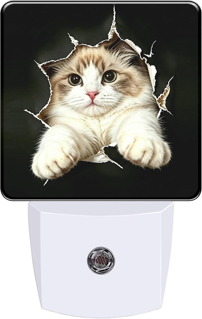 Night Light Broken Hole Cat Night Lights Plug into Wall with Dusk to Dawn Smart Sensor for Bedroom Bathroom Hallway Kitchen, Warm Nightlights for Boys Girls Women Men