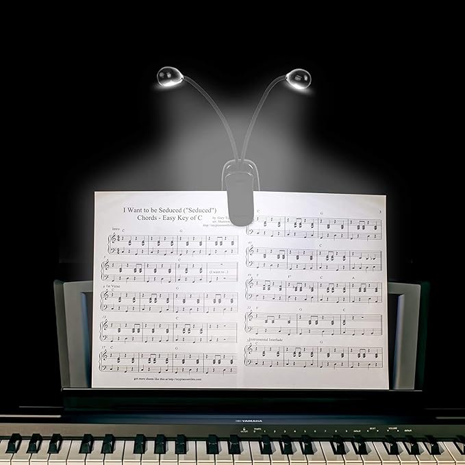 TEECOO 2 Pack Music Stand Light, Clip on Piano Light, USB and AAA Battery Operated, Eye Caring LED Book Lights, 2 Arm x 2 Brightness Levels, Ideal for Piano, Sheet Music, Orchestra, Guitar