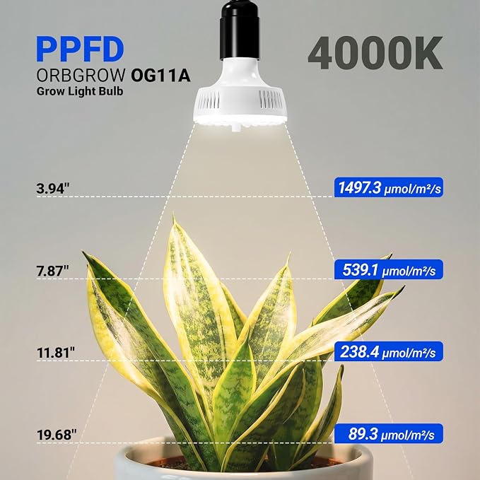 Barrina Orbgrow OG11A2 Clip On Grow Light for Indoor Plants, 4000K 22W | Integrated Stepless Dimming & Timing, Full Spectrum, High PPFD, 2 Goosenecks with E26 Plant Light Bulbs