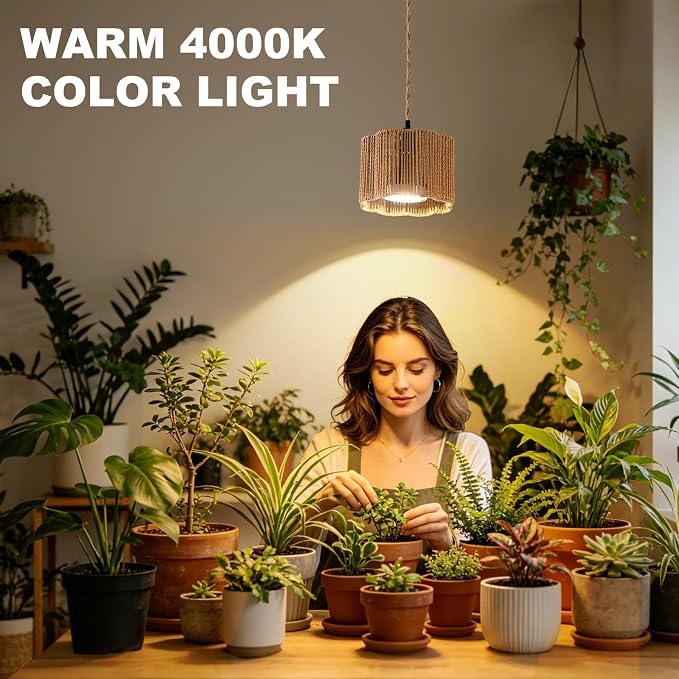 Hanging Grow Light, 30W LED Lamp with Timer for Indoor Plants | 4000K LED plant lamp with 15 ft cord, outlet timer, and boho paper rope shade for succulents, herbs, and low-light rooms.