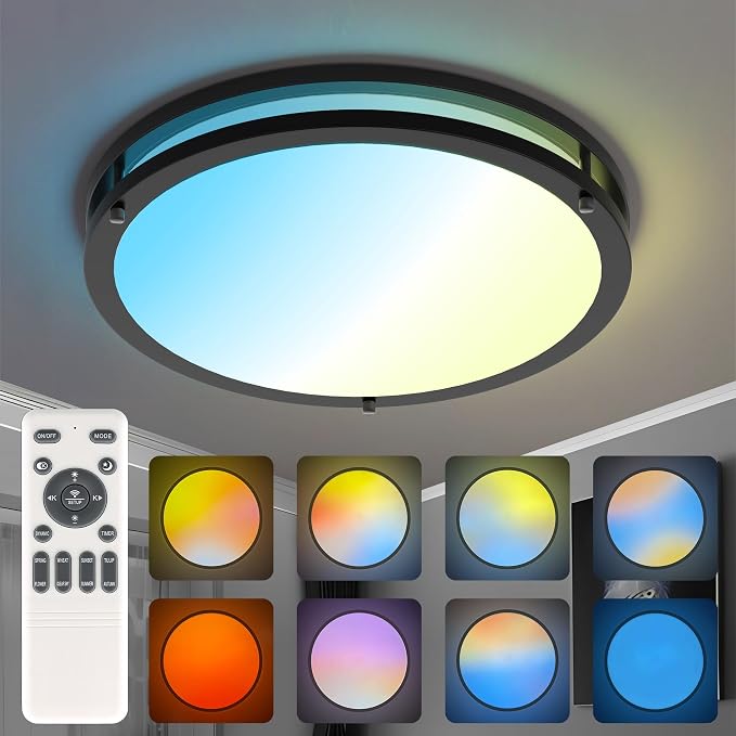 Ceiling Lights Flush Mount with Remote: LED Black Ceiling Lighting 8 Modes Dimmable Color, Adjustable Temperature for Bedroom, Living Room, Kitchen (16 Inch)