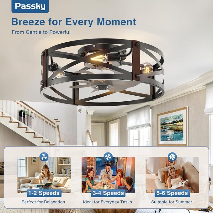 Passky 20" Caged Ceiling Fans with Lights and Remote, Low Profile Fandelier | Reversible DC Motor, 1/2/4H Timer, 6 Speeds, Farmhouse Style, Quiet Operation, for Bedroom, Kitchen, Dining Room, Living Room