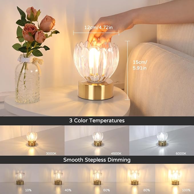 Shenmoyl Cordless Small Table Lamp with 5200mAh Battery & Touch Control, Battery Operated Tulip Table Lamp with 3 Colors, Rechargeable Mini Table Lamps for Bedsides, Bedroom, Nightstand (Transparent)