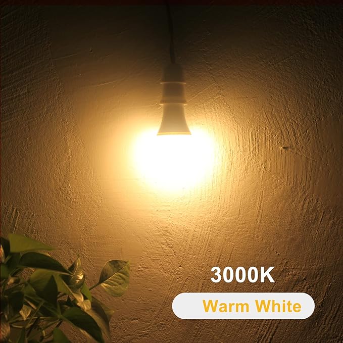 Qualilux Dusk to Dawn A19 LED Light Bulbs Outdoor, Automatic On/Off, 60W Equivalent, Warm White 3000K, Energy Efficient 9.5W, 850 Lumen, E26 Base, 2-Pack, HQ-H007