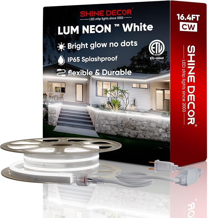 LED Neon Rope Lights AC 120V, Expandable & Cuttable 120LEDs/M Bright Strip Lighting, ETL Cold-Resistant & IP65 Waterproof for Indoor Outdoor, 8x16mm, 6300K Cool White, 16.4ft