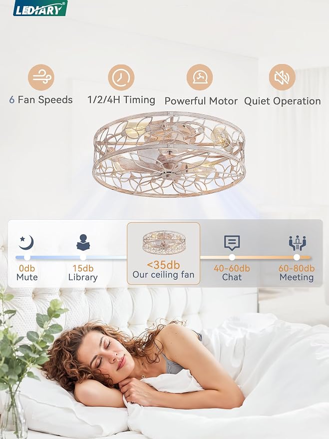 LEDIARY 23" Caged Ceiling Fan with Light, Flush Mount Fandalier with Remote | Low Profile, Farmhouse Large, Bladeless Industrial, Quiet DC Motor, App Control for Bedroom, Kitchen, Dining Room, White Gold