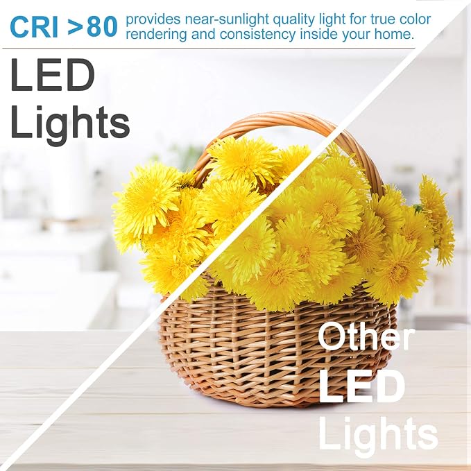 2 Inch LED Recessed Lighting, Dimmable LED Downlight 3W (35W Halogen Equivalent), CRI80+, 5000K Daylight White Recessed Ceiling Lights with LED Driver (10 Pack)